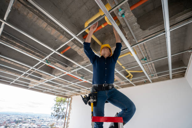 Best Plumbing Services Near Me  in Black Creek, WI